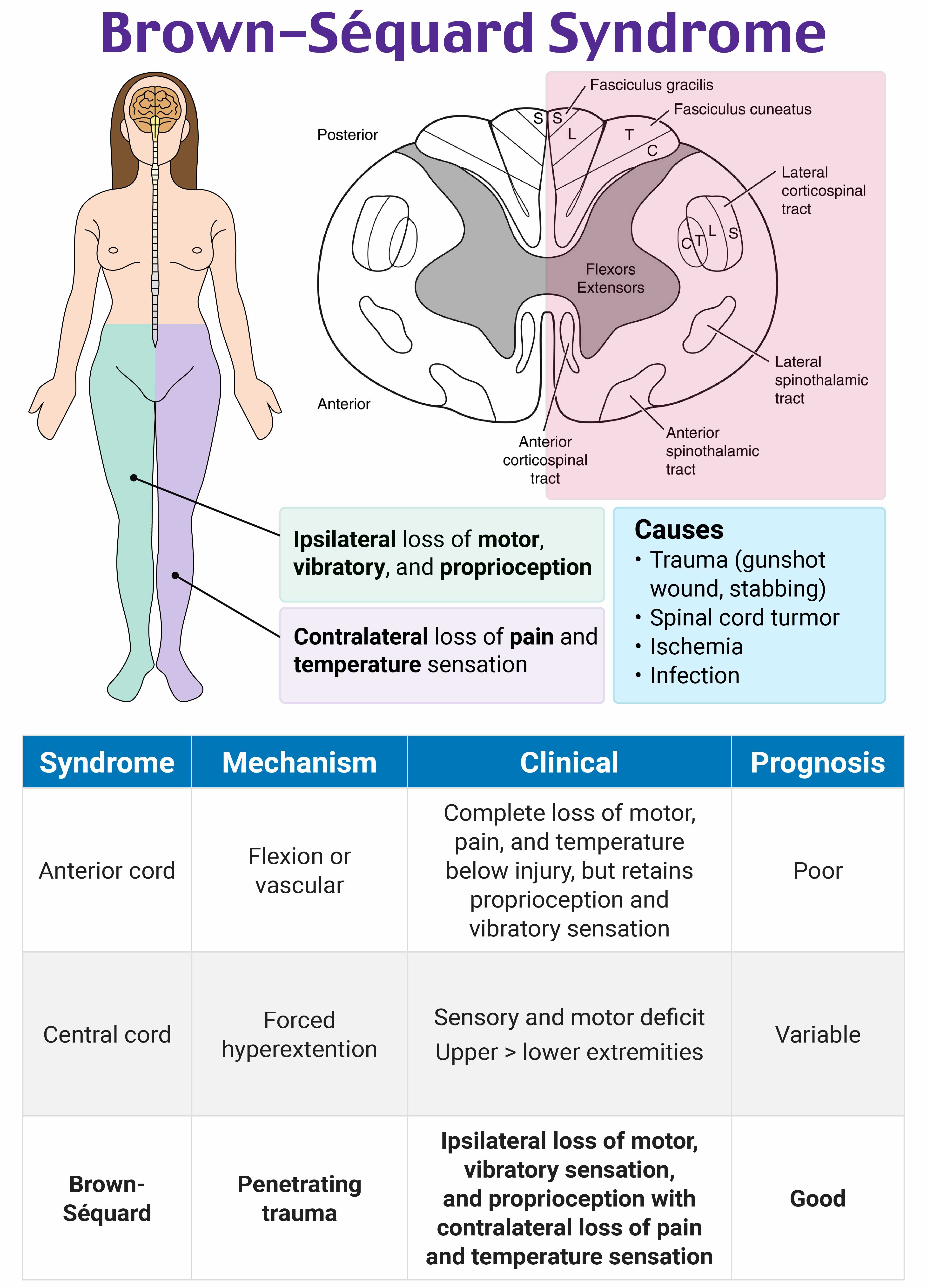 RoshReview ITE Emergency Medicine Review Rosh Review